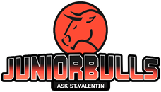 JuniorBulls Logo