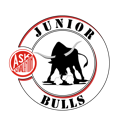 ask junior bulls logo