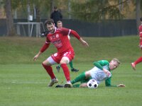 IMG 4972
