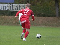 IMG 4990