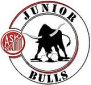 logo_junior_bulls_91x85